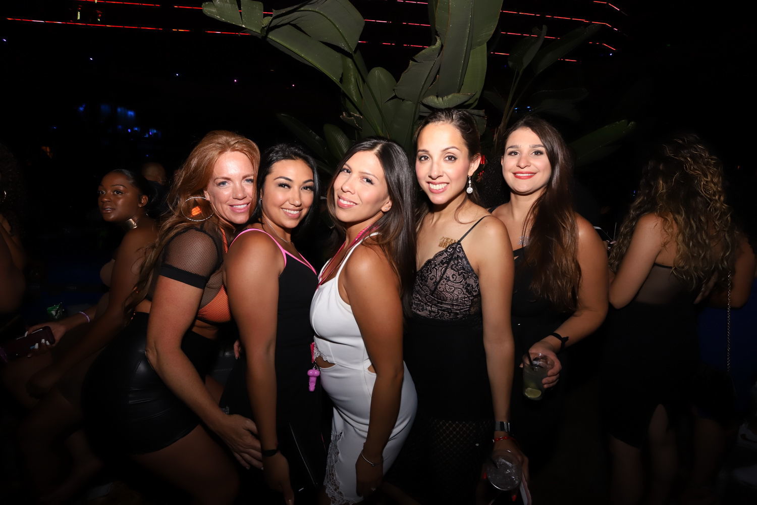 IMG_0078cc.JPG